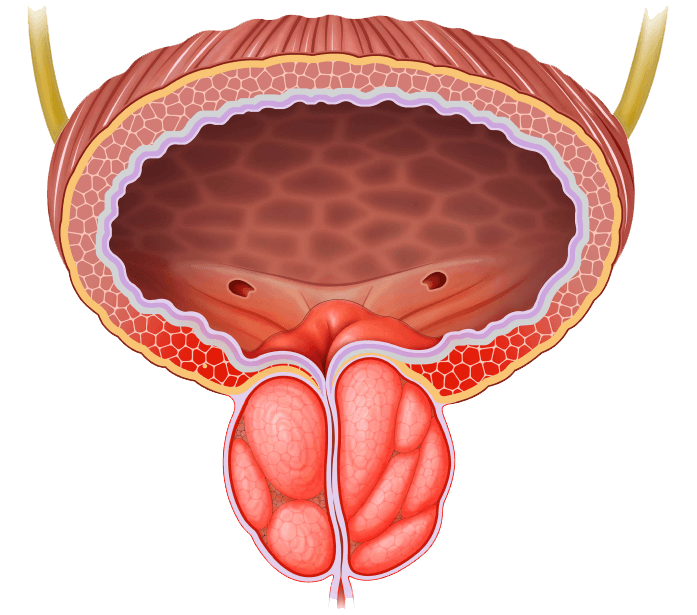 Compassionate Prostate Care